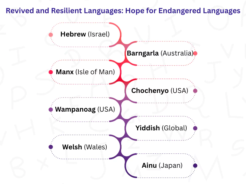 Revived resilient languages like Hebrew, Welsh, Ainu, giving hope for the Most Unknown Language in the World