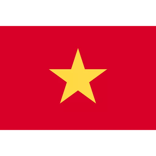 Vietnamese Language